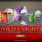 wild knights slot